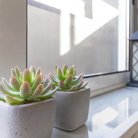 Valley Flat 2 Apartment